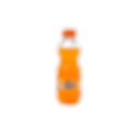 Fanta Naranja Botella 250 cc