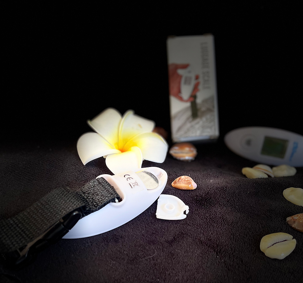 Miniature : MINI BALANCE VALISE
