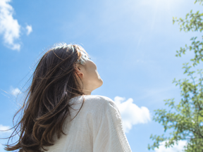 夏の紫外線ダメージに。ツヤと色持ちを叶える「terra（テラ）カラー」