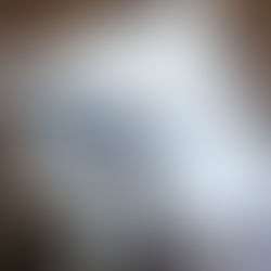 Born to Run - August 2024