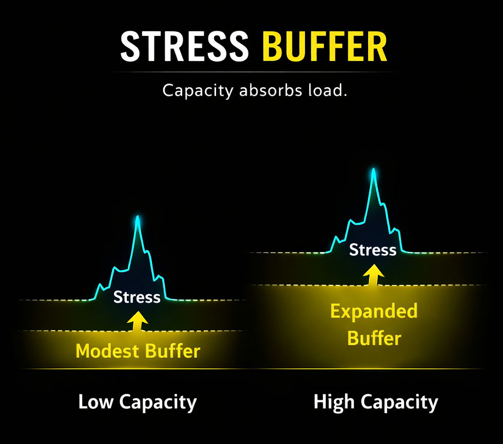 Stress Buffer Model