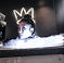 Whole Body Cryotherapy Chicago