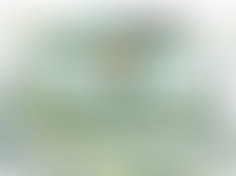 Wholistic Ketamine Therapy: Creating the Perfect Set and Setting