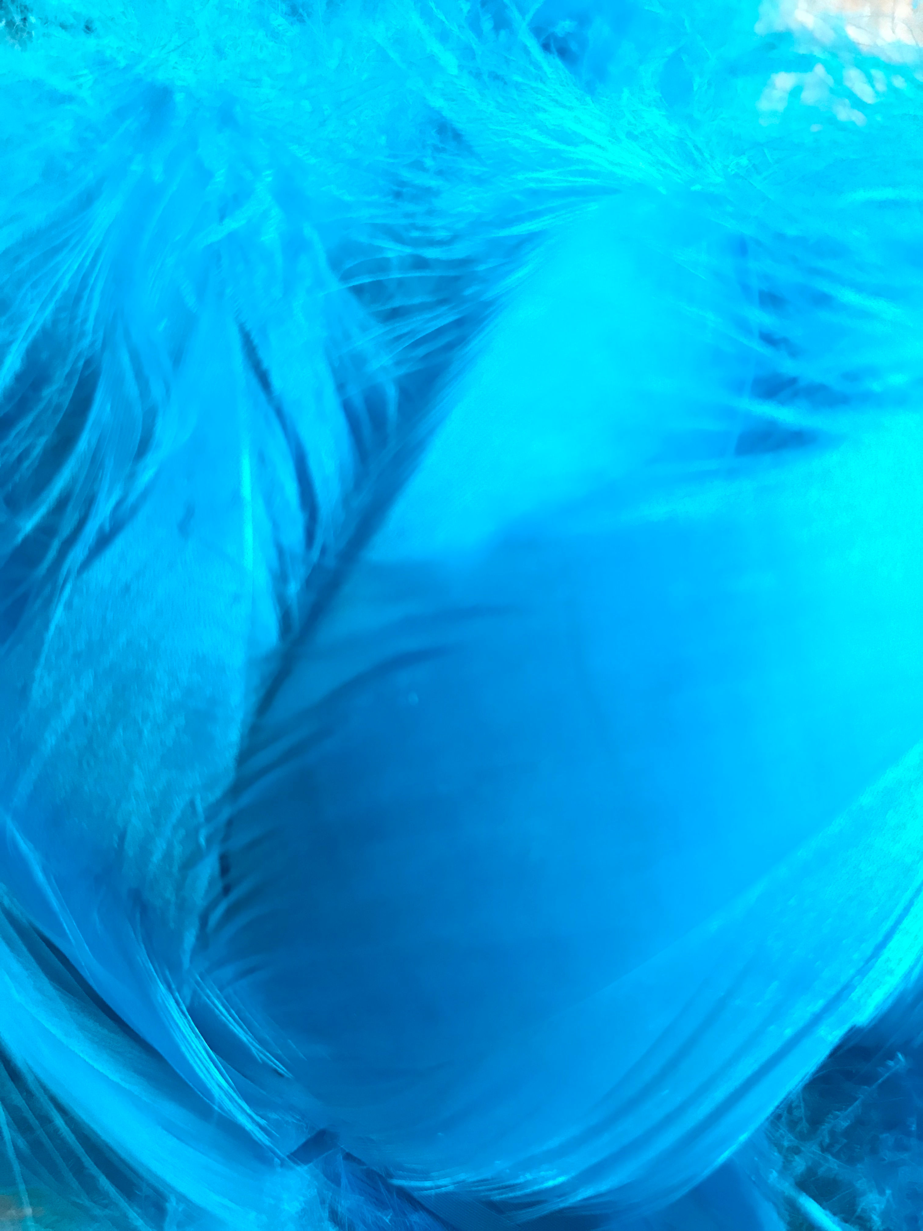 Marine Blue Feathers