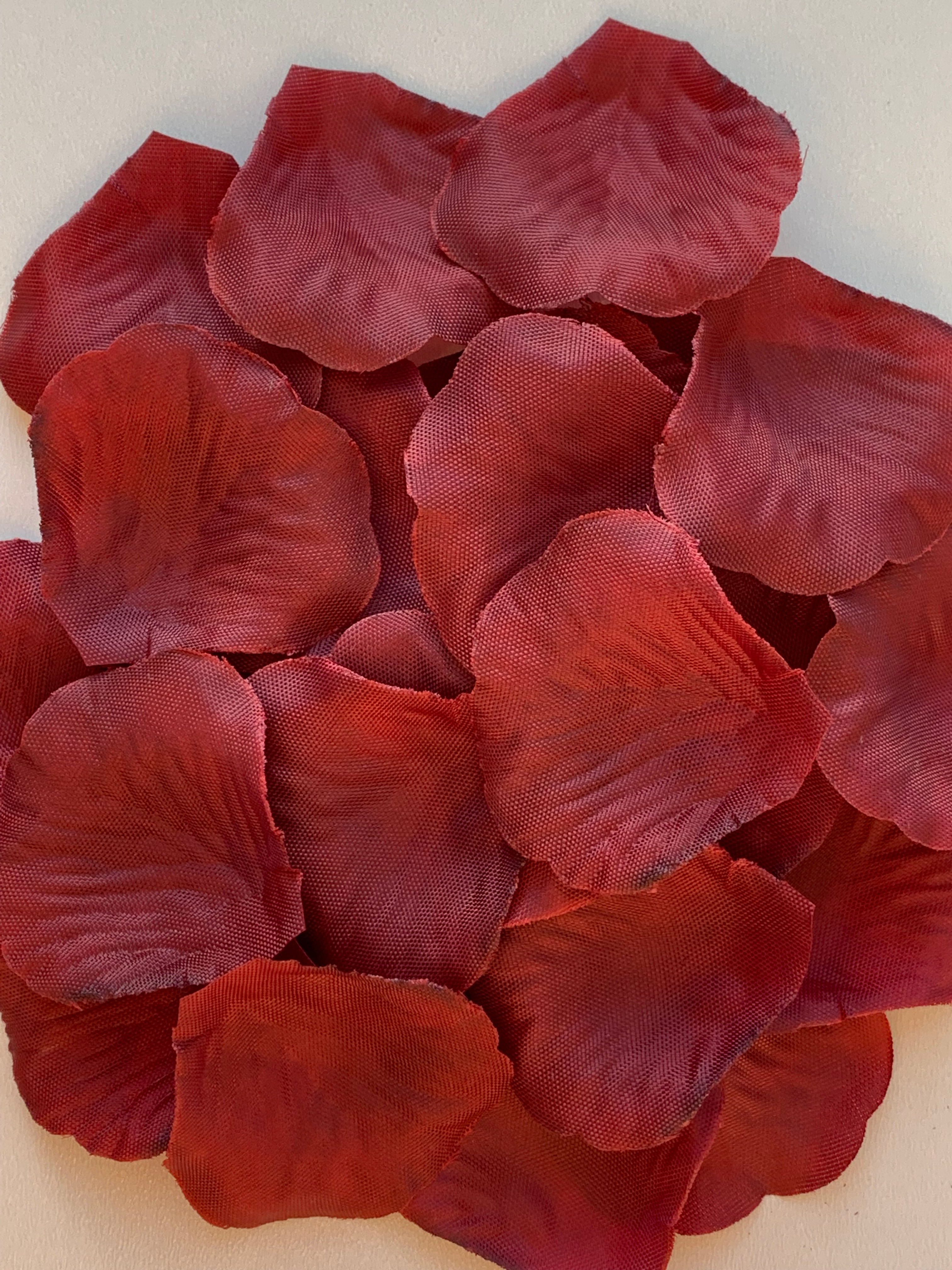 Burgundy Petals