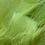 Thumbnail: Olive Green Feathers