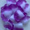 Thumbnail: Purple/White Petals