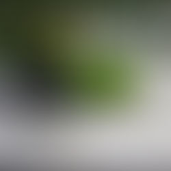 1024 Earthquake - OILES Seismic Isolation Activation Record