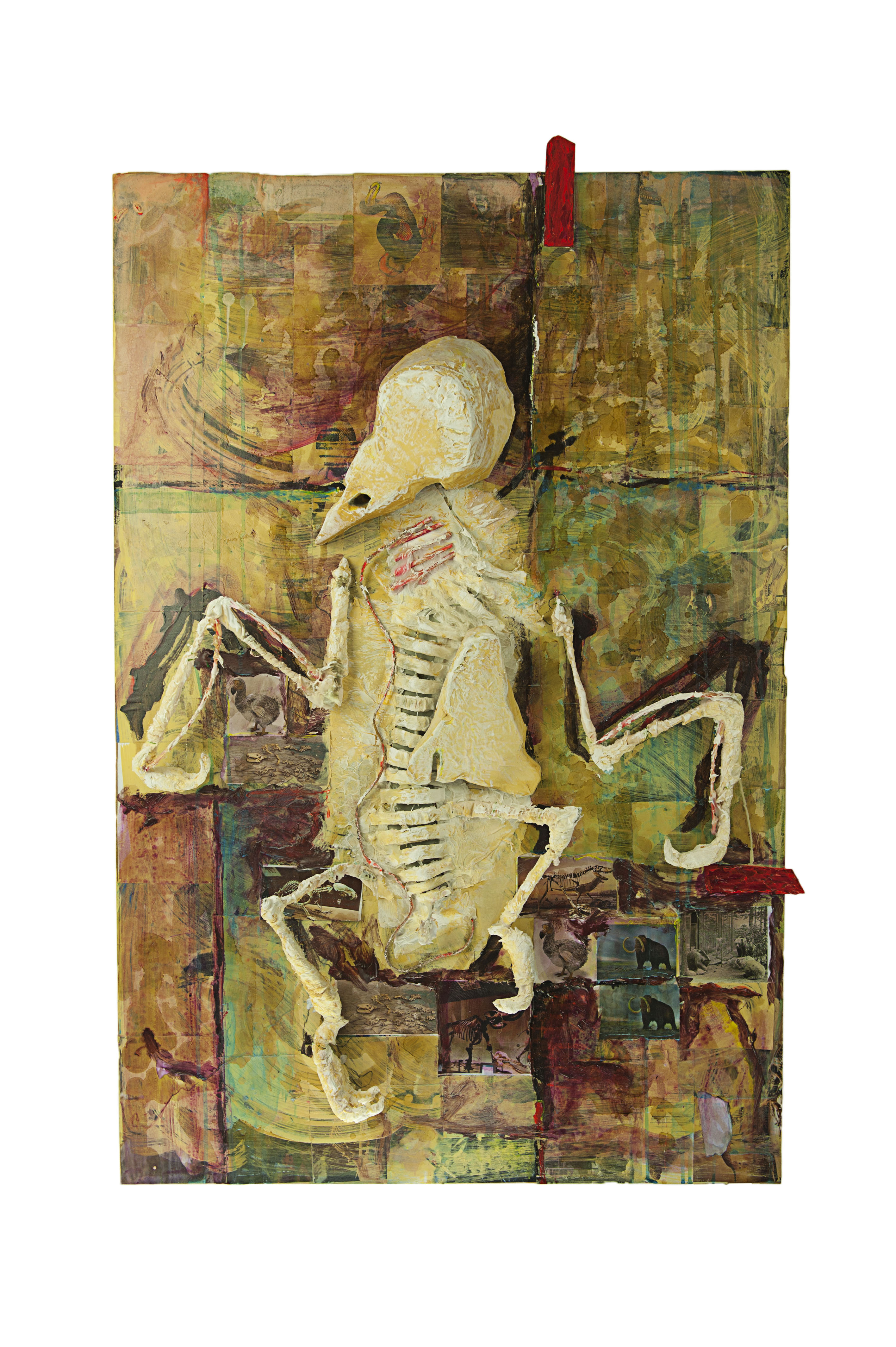 Ossified 120 x 80cm Media Assemblage