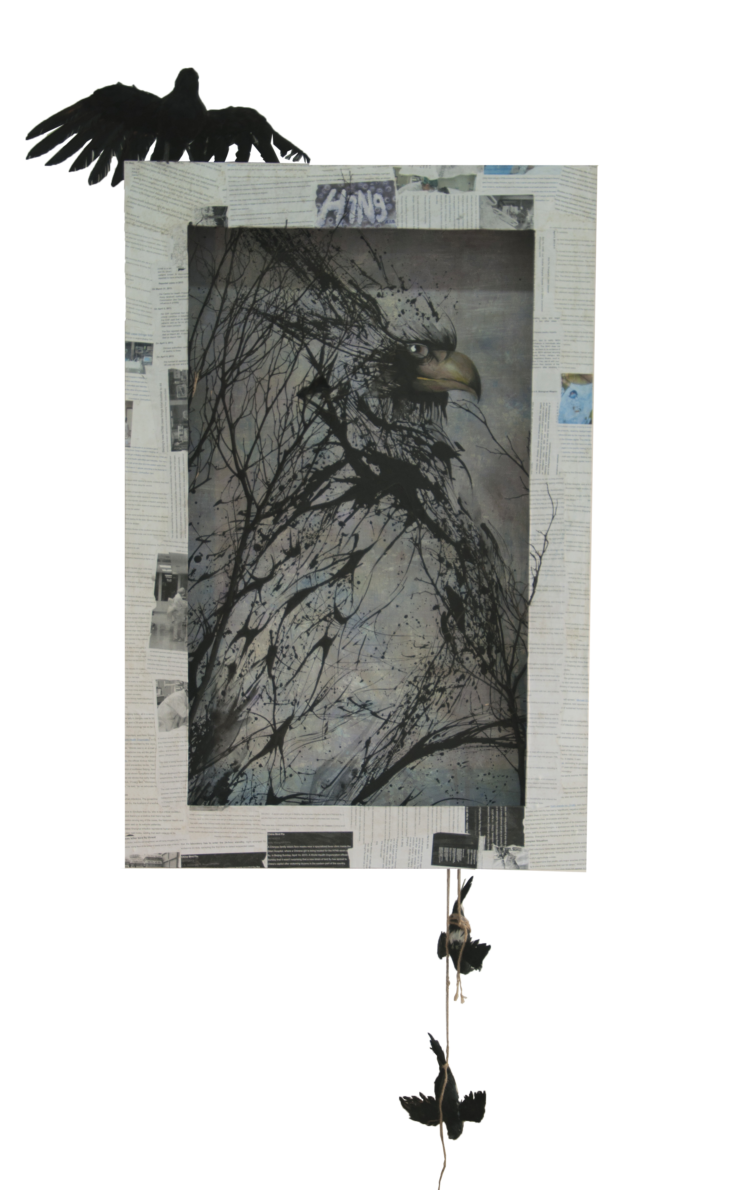 Bird Flu #1 120 x 80cm Mixed Media Assemblage