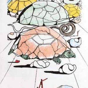 Salvador Dali