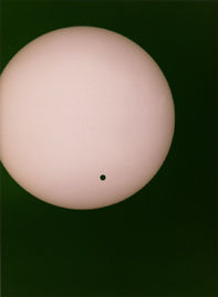 fotografie tillmans venus