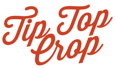 Graphic Wordmark.png
