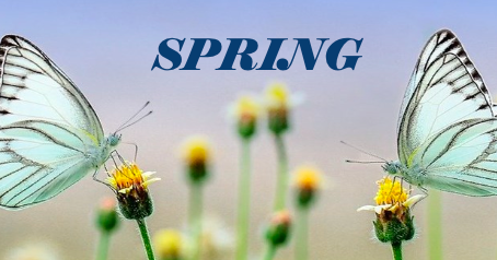2022 Spring Newsletter