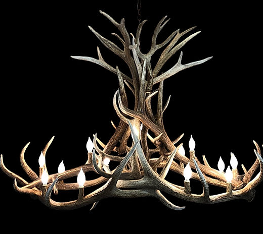 60 inch long Ridge elk antler chandelier handcrafted rustic elk antler lighting fixture