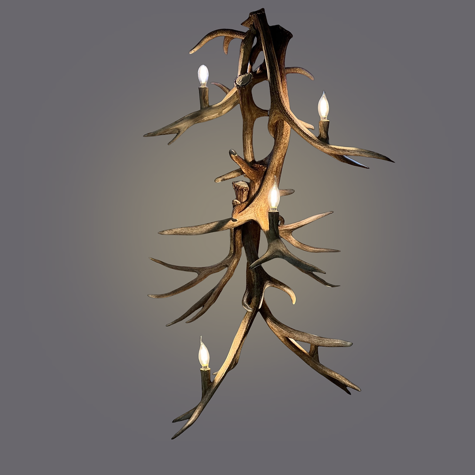 Thumbnail: Cascading Elk Antler Pendant Light