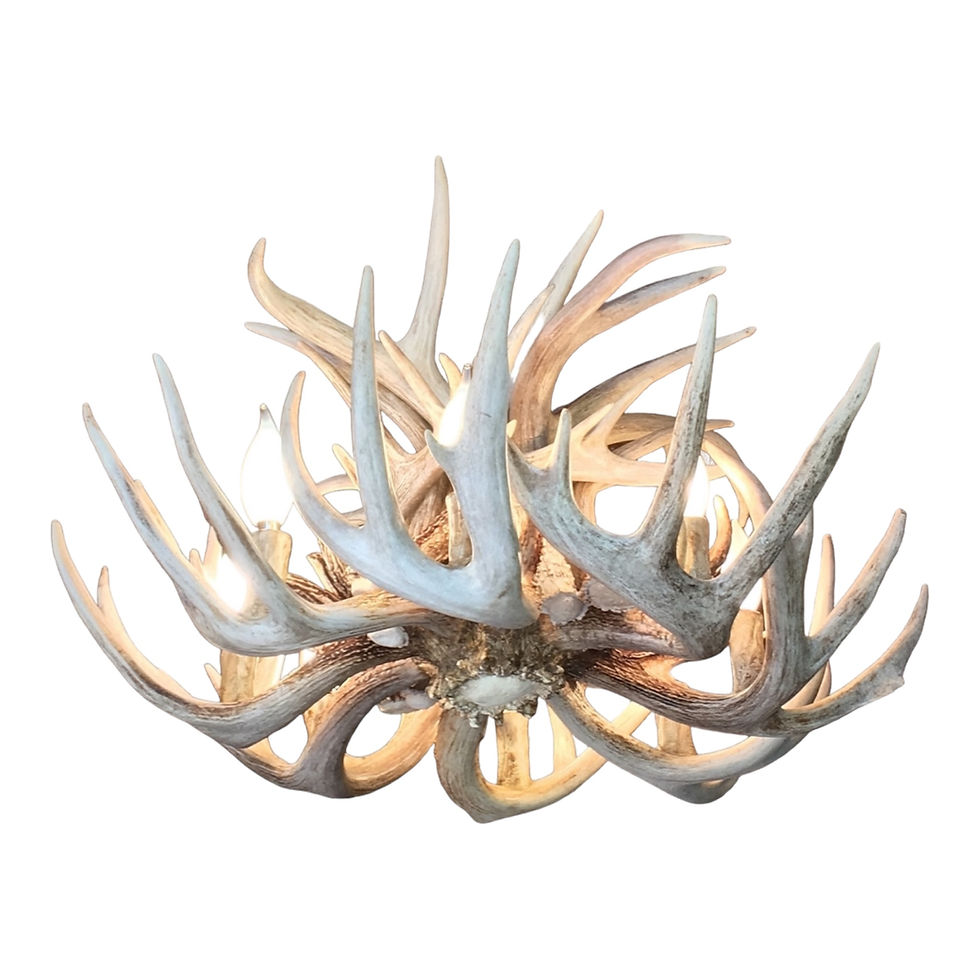 deer chandelier