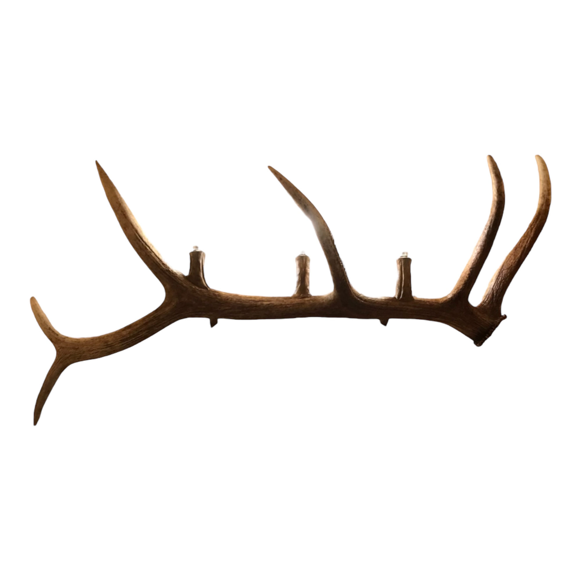 antler wall light