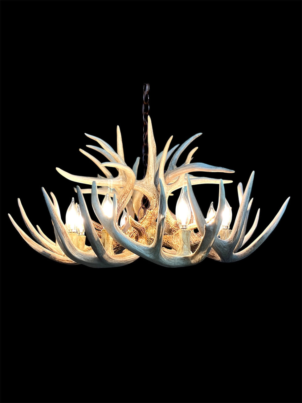 Ready to Ship! Dakota Whitetail Antler Chandelier