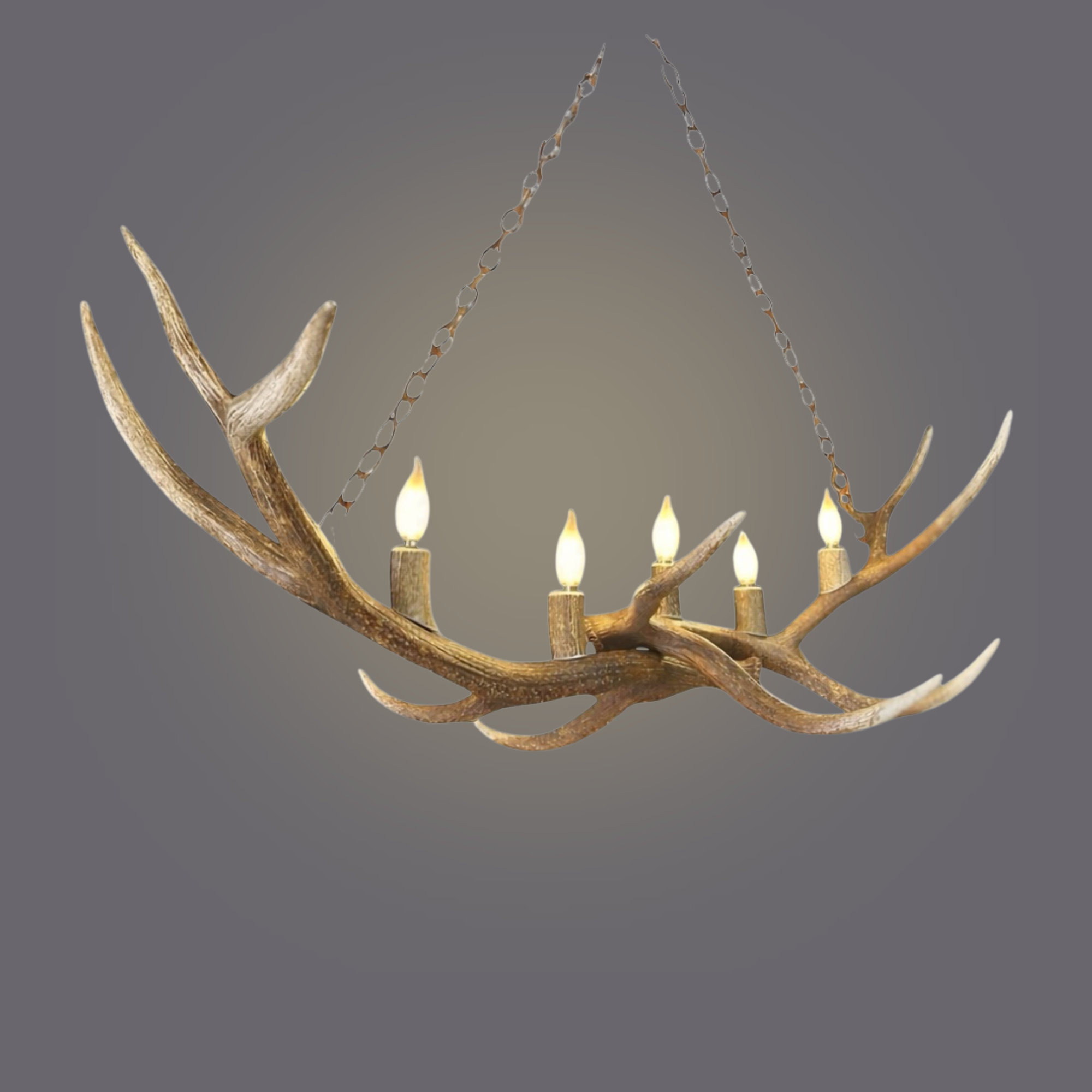 Double Elk Light