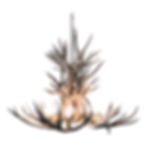 Wild Ridge Mule Deer Chandelier 8 light
