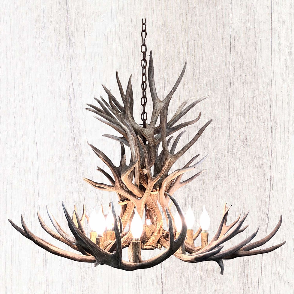 Wild Ridge Mule Deer Chandelier 8 light