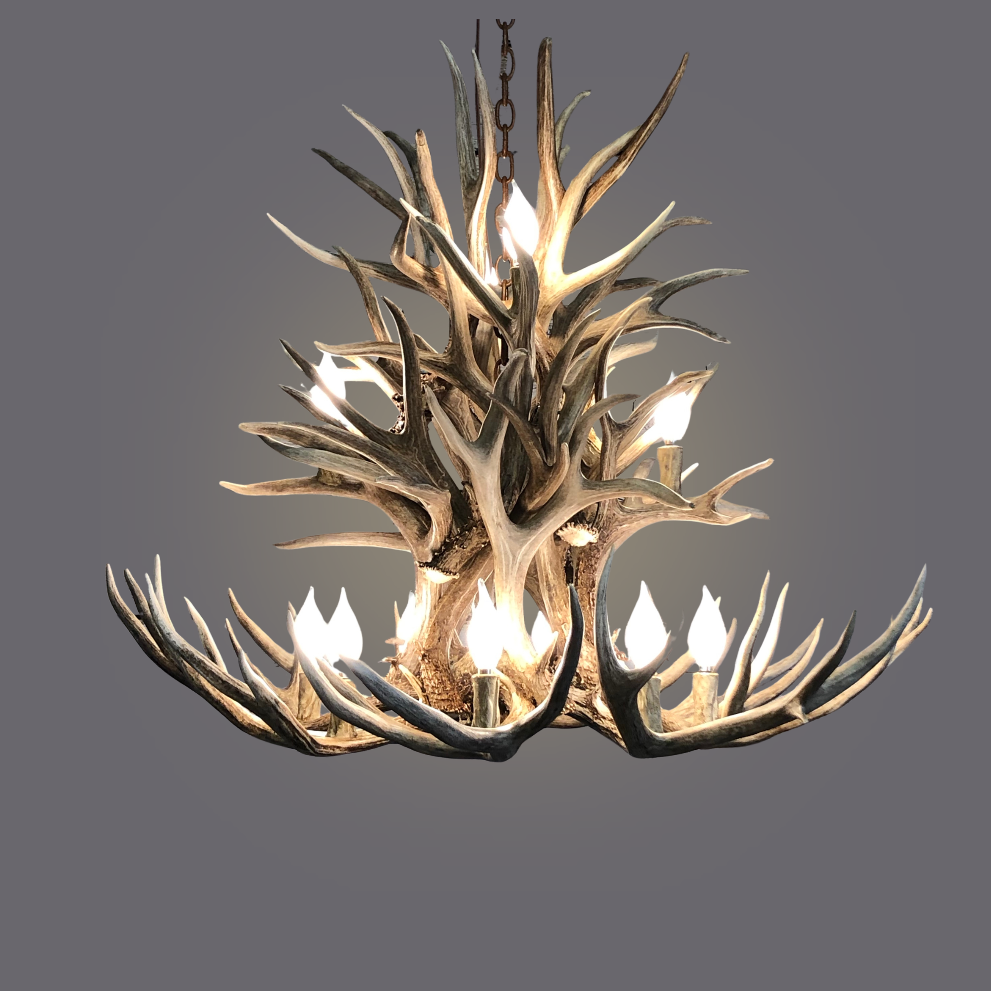 Wild Ridge Mule Deer Chandelier - 12 light