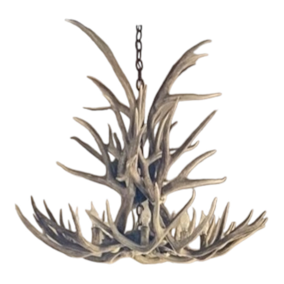 medium antler chandelier lighting
