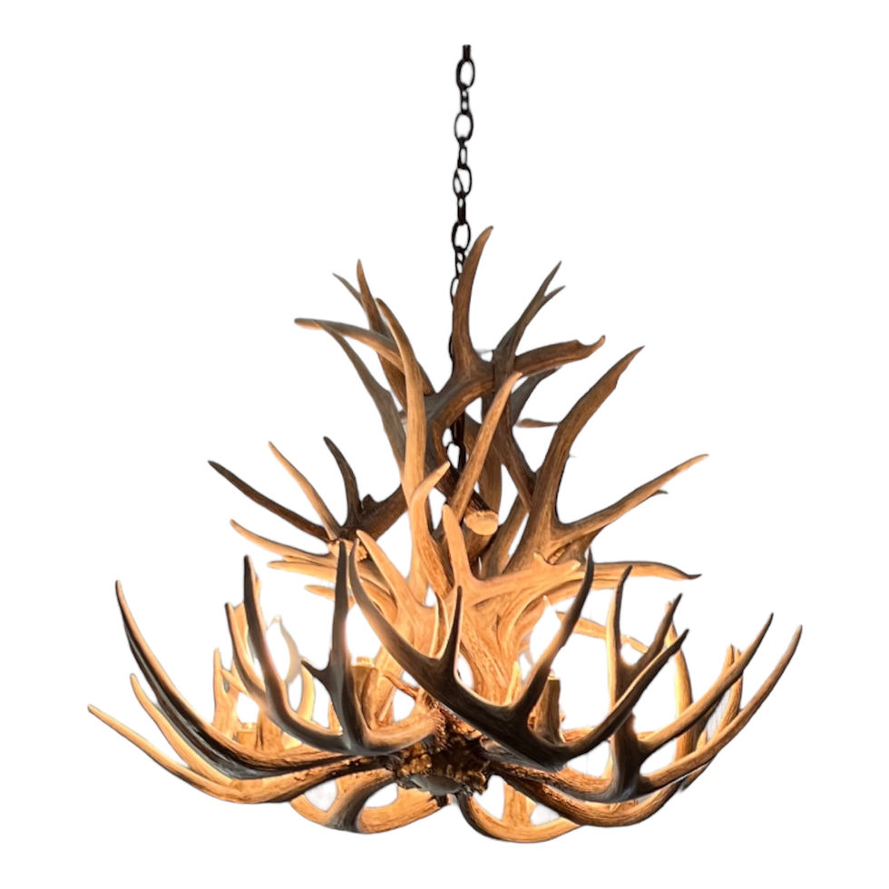 antler chandelier