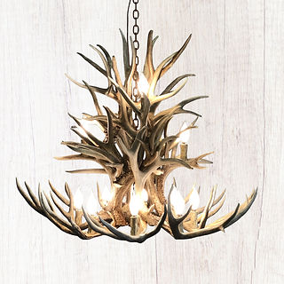 Wild Ridge mule deer antler chandelier 12 light handcrafted rustic mule deer antler lighting fixture