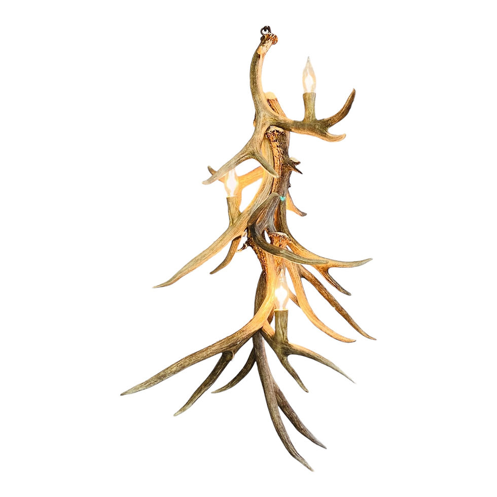 pendant light