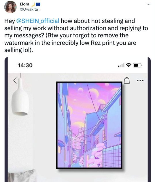 Elora Pautrat She says her art was stolen around 10 times. She sells things like prints, canvases, phone cases, tapestries, apparel, home decor, bags and stickers