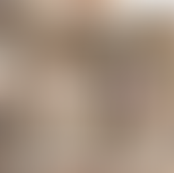 taltexTrends Womenswear Colour and Fabric Fashion Trends AW 25/26