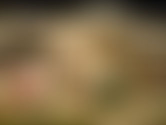 11 Ways to Get Into the Holiday Spirit