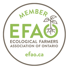 EFAO-member-logo.png