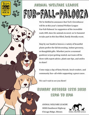 fur_fall_palooza.jpg