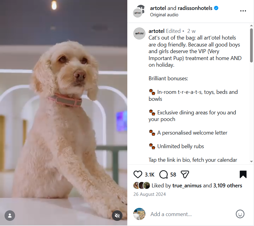 Instagram Launch.PNG