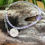 Thumbnail: Tiny Om Amethyst Bracelet