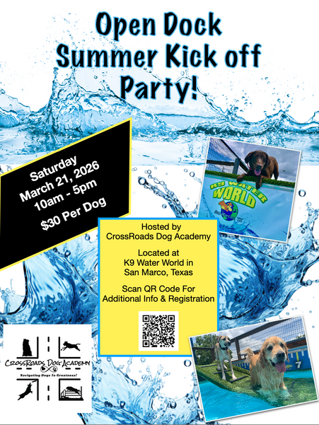 Open dock diving party for dogs to kick off the summer season at K9 Water World