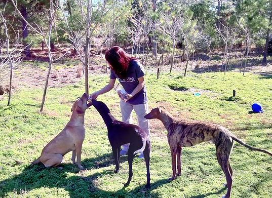 Image of Deanna with her three dogs