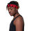 Thumbnail: Red Disc Dog Headband