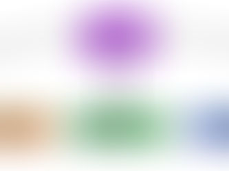 A MENTAL HEALTH FORWARD MODEL OF PRIMARY CARE