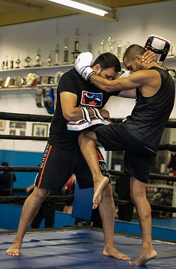 Warrior2019-24.jpg
