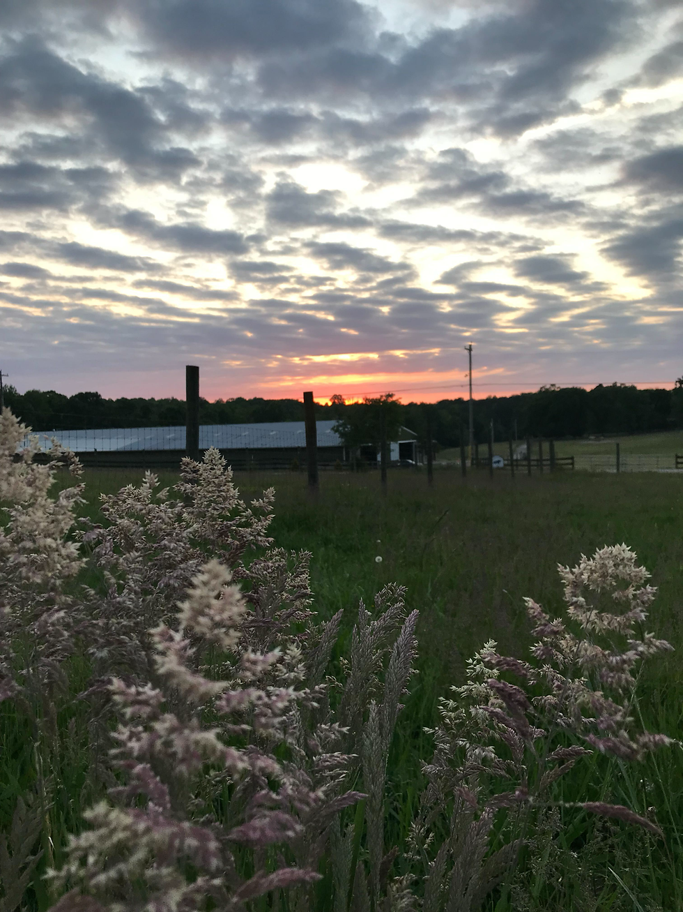 Morning Prayers: September 21-27, 2025