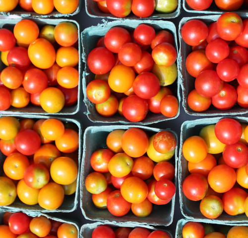 2025 Spring Summer Csa Spring Forest