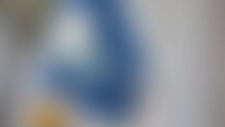 Tapado Noches de Atacama