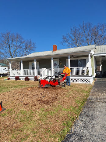 Man with red stump grinder in front of green house.