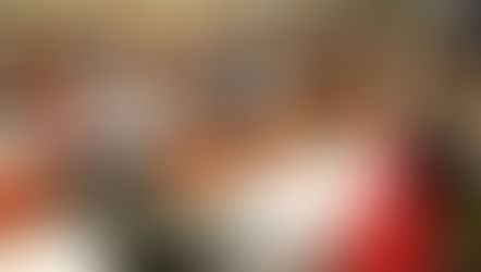 Assembleia Geral aprova greve dia 10/11