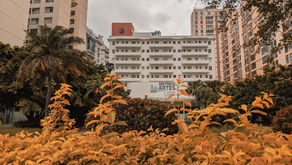 Redução de despesas para quem? Revogação já da Portaria 68.553