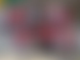 Batata da Dilma é assada no HUAP